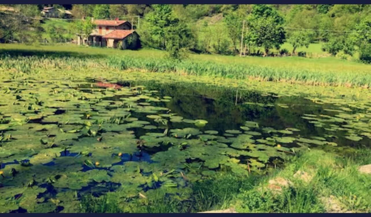 Lago Di Como - Home Holiday Zelbio Luaran gambar